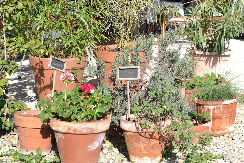 La Locanda Di Valbella Asti Ngoại thất bức ảnh